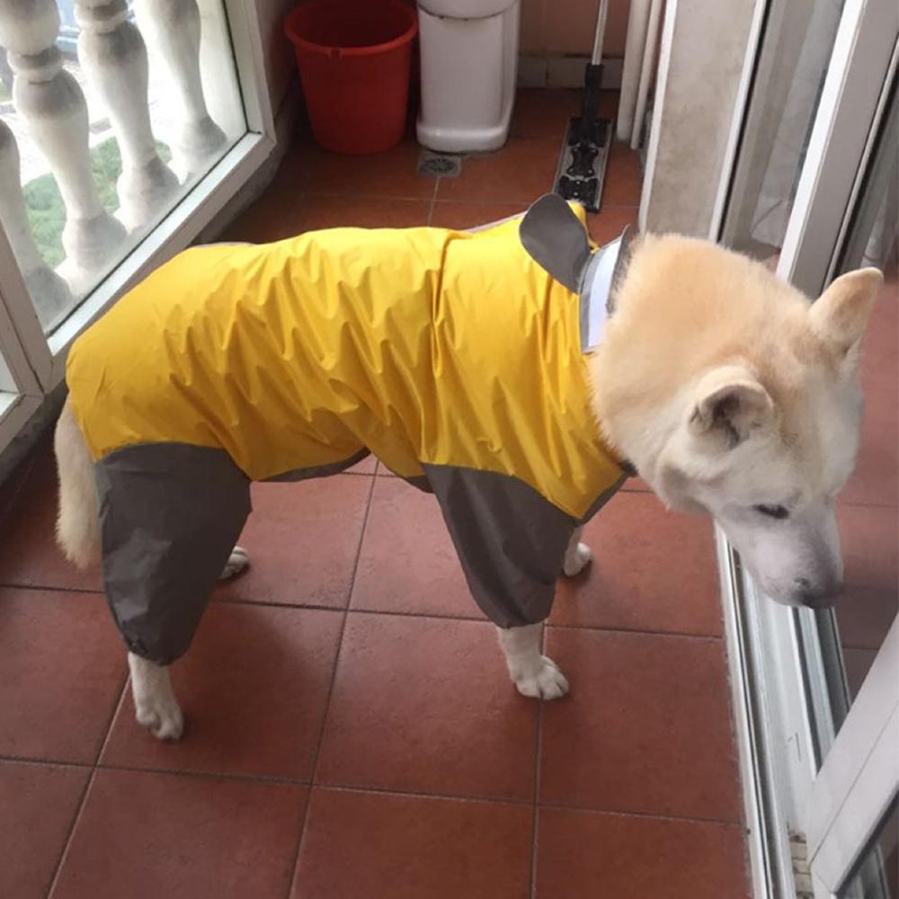 Pet Raincoat For Large dog Waterproof Stylish and Comfy Pick