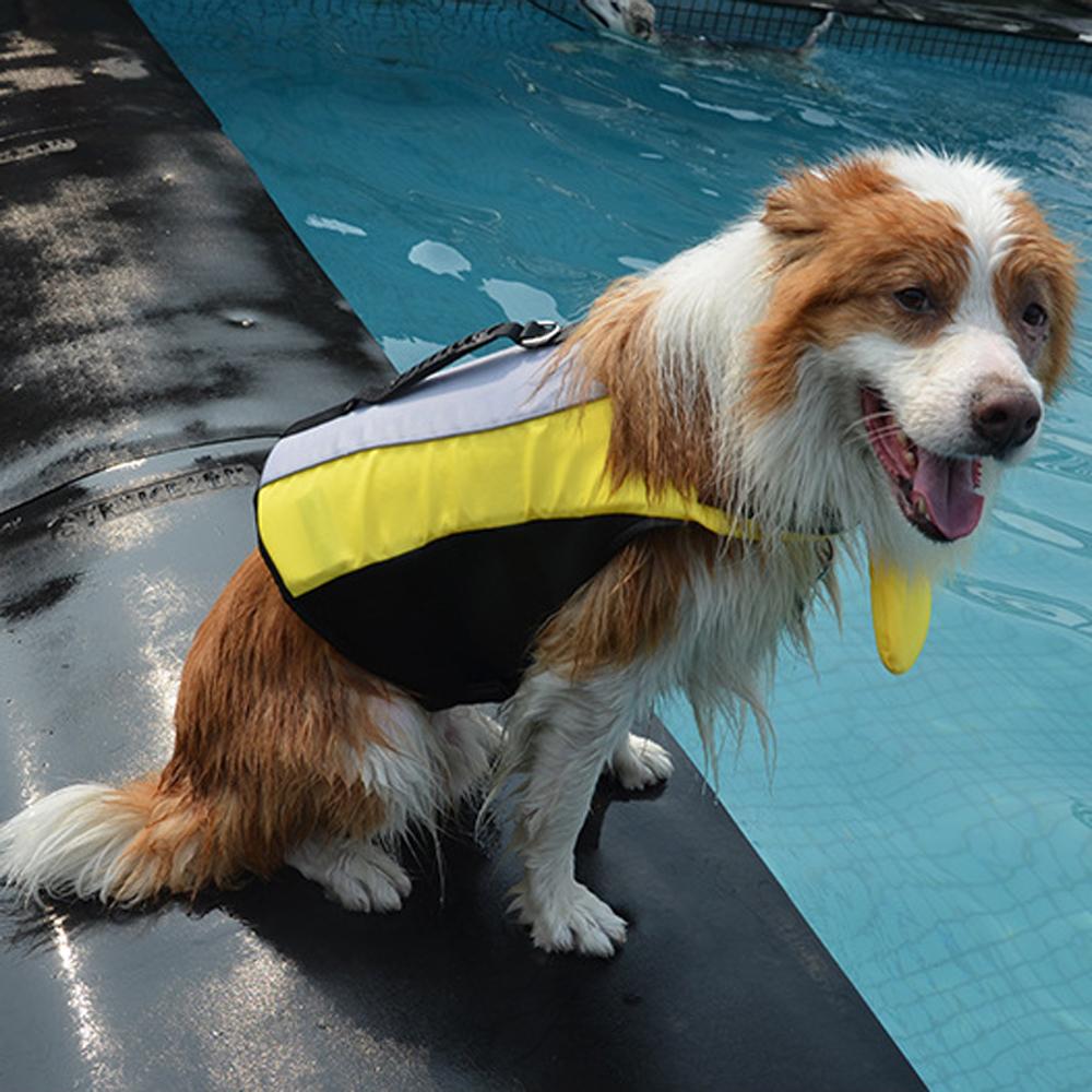 New Pet Life Jacke Anti-Drowning for Swimming Stylish and Lightweight